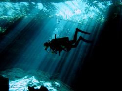 "Cenotes"in Playa del carmen.Diving in the clearest water... by Gerald Obritzberger 